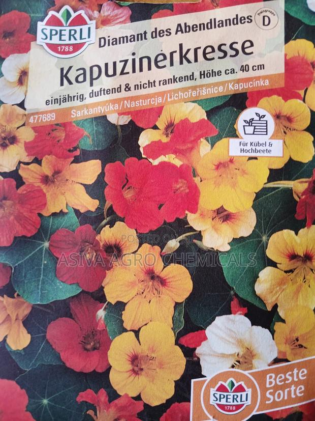 Nasturtium (Diamond of the West) Flower Seeds photo 2