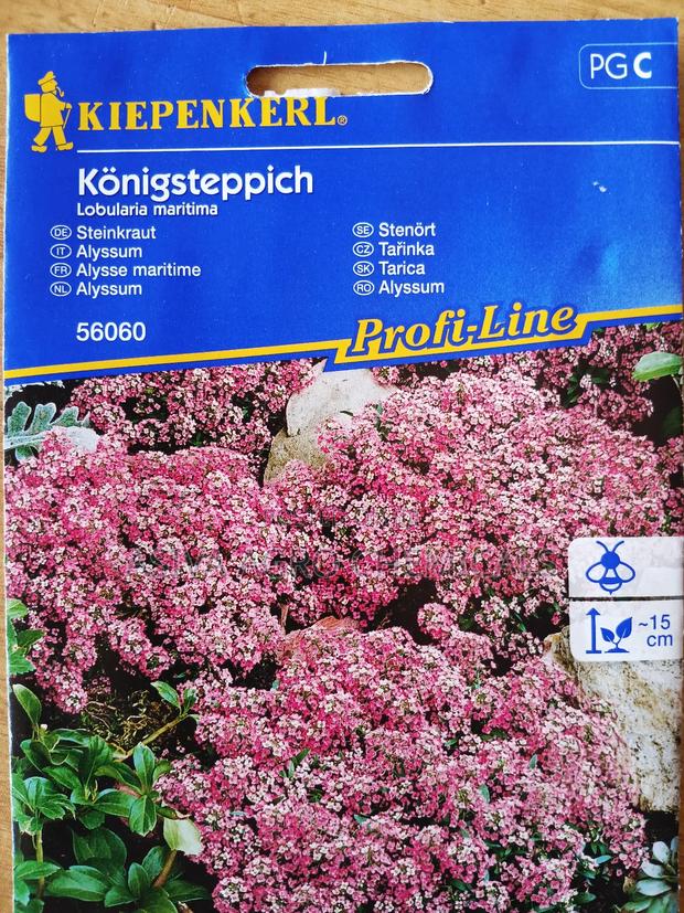 Alyssum/ Sweet Alison Flower Seeds