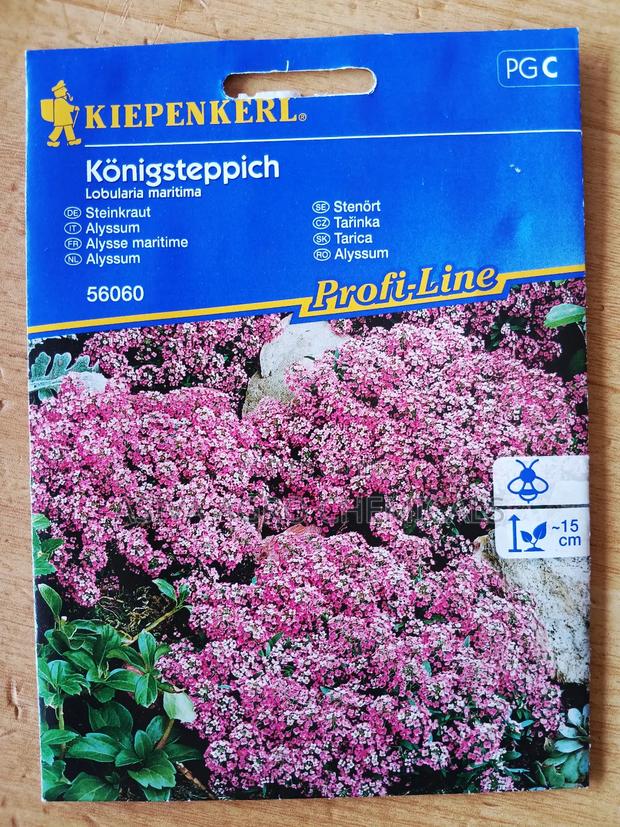 Alyssum/ Sweet Alison Flower Seeds photo 3