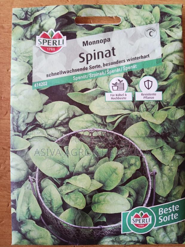 Spinach Seeds photo 2