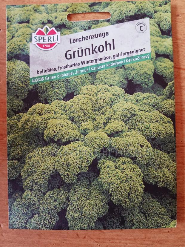 Kale Seeds photo 3
