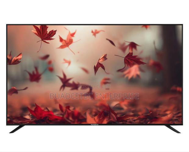 Led Nasco 32 Led Digital Satellite Television · Photo 1