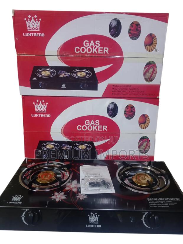 2in1 Automatic Ignition Gas Burner