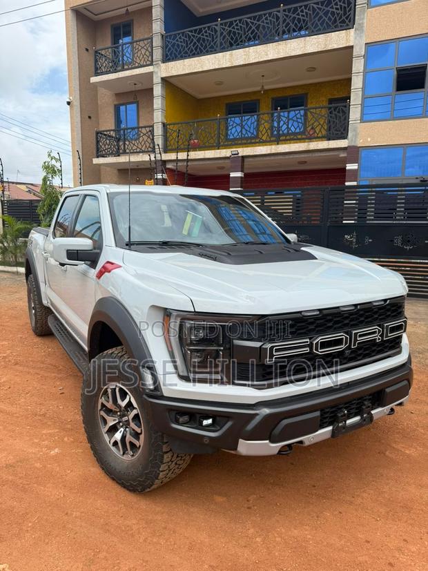 Ford F-150 Raptor 2023 Gray