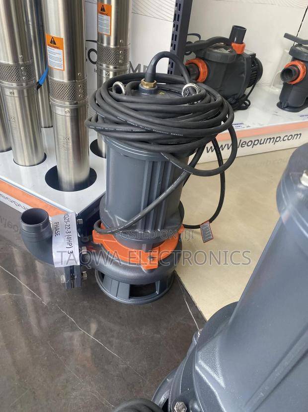 65wq25-22-3 Leo 4hp Sewage Pump · Photo 2