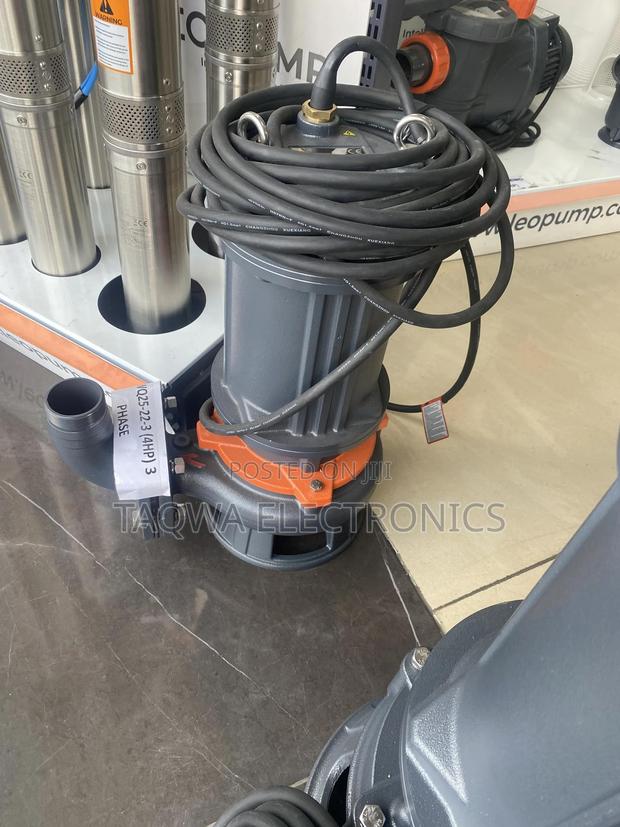 Most Efficient Sewage 4hp Pump (65wq25-22-3) · Photo 2