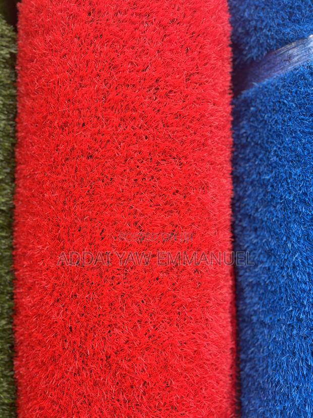 Red Grass Carpets photo 3