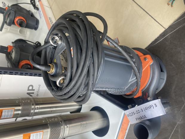 Daring)Leo 65wq25-22-3 Sewage 4hp Pump · Photo 2