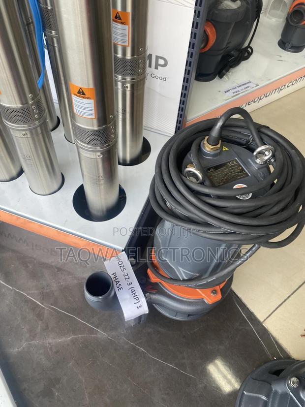 4hp -3-phase Leo Sewage Water Pump · Photo 2