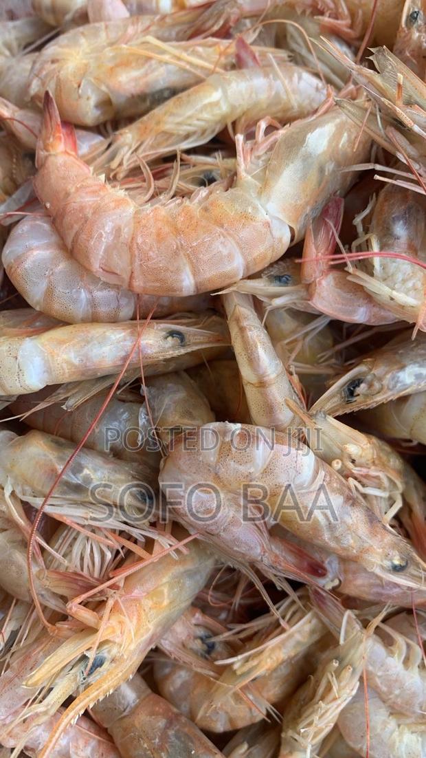 Seafood for Sale/Price Per Kilo photo 10