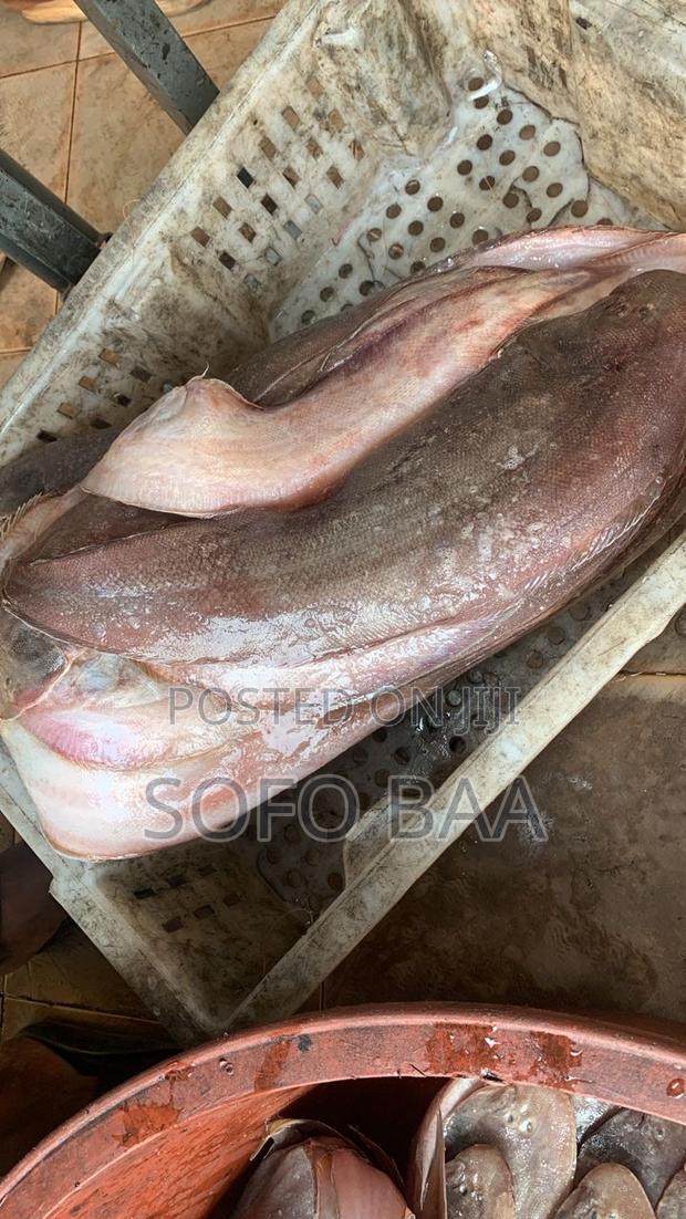 Seafood for Sale/Price Per Kilo photo 15