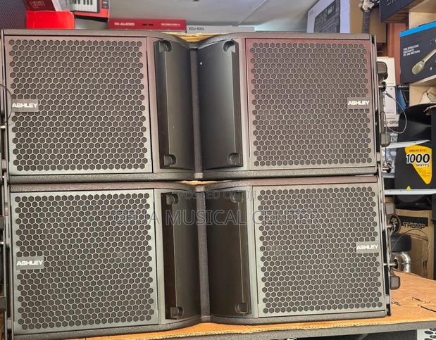 Ashley 12inches Line Arrey Speakers · Photo 2