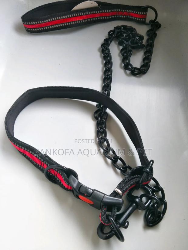 Quality Chain Leah With Collar · Photo 3