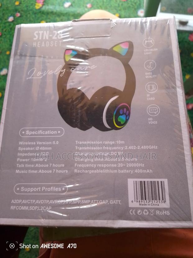 Wireless Cat Headset photo 2