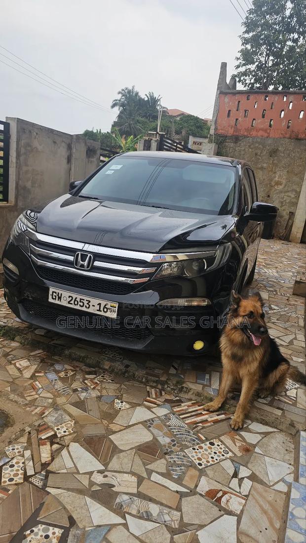 Honda Pilot EX-L 4dr SUV (3.5L 6cyl 5A) 2016 Gray