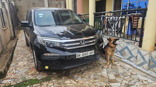 Honda Pilot EX-L 4dr SUV (3.5L 6cyl 5A) 2016 Gray