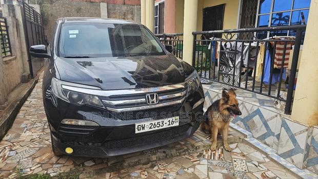 Honda Pilot EX-L 4dr SUV (3.5L 6cyl 5A) 2016 Gray