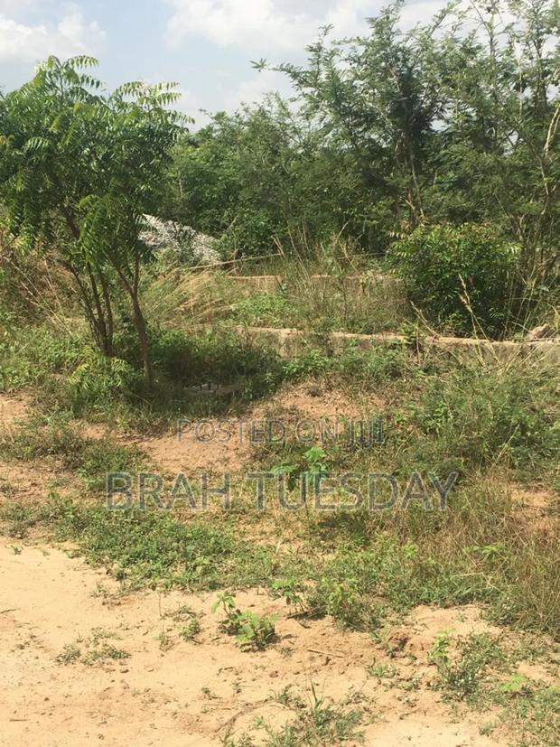 Land for Sale · Photo 3