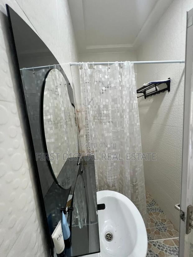 2 Bedroom Furnished Apartment for Rent at Redtop · Photo 4