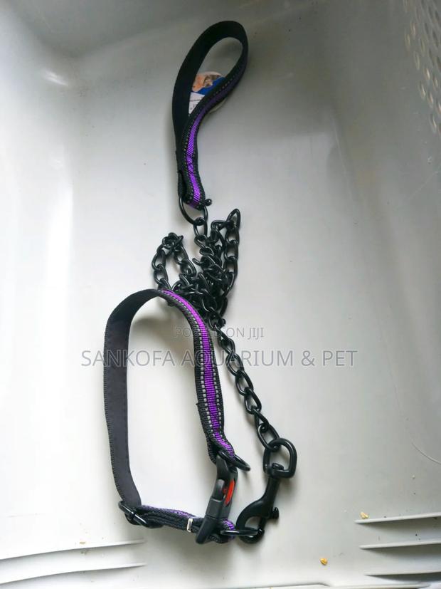 Quality Chain Leah With Collar · Photo 4