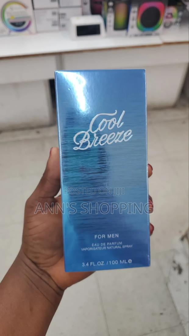 Cool Breeze Perfume for Men