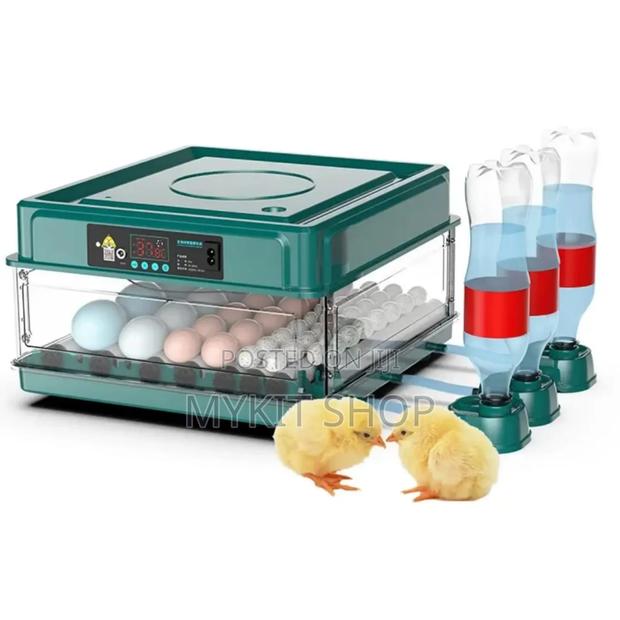 Quality 48egg Incubator
