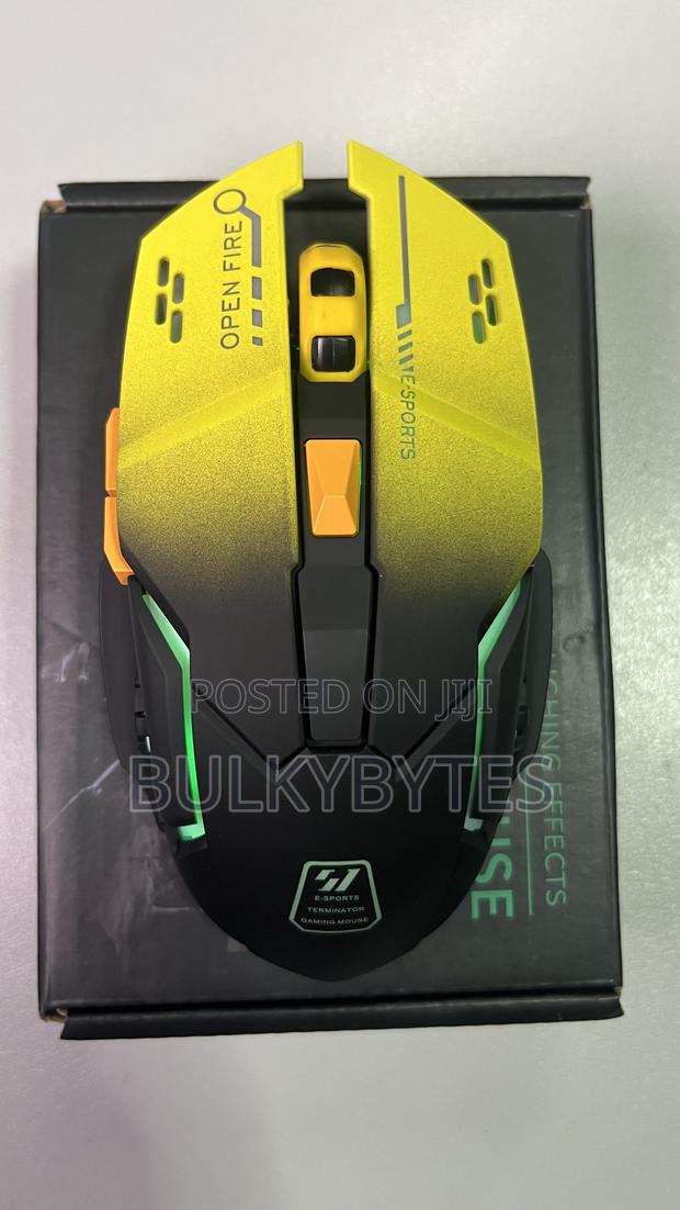 Pro Silent Dual-Mode Wireless Gaming Mouse