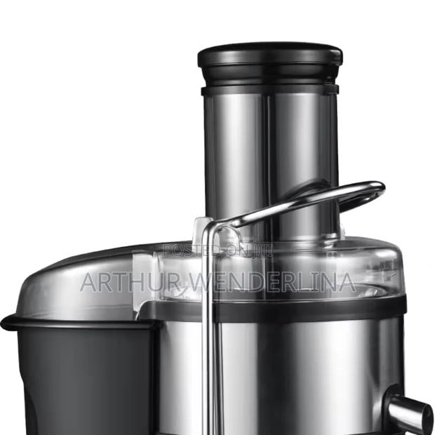 Haley Juice Extractor photo 10