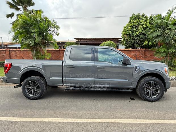 Ford F-150 2021 Gray
