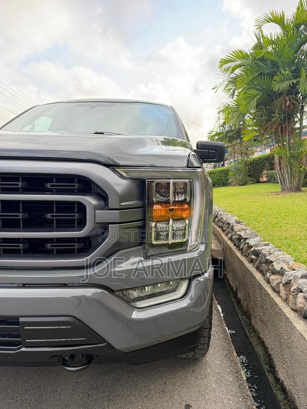 Ford F-150 2021 Gray