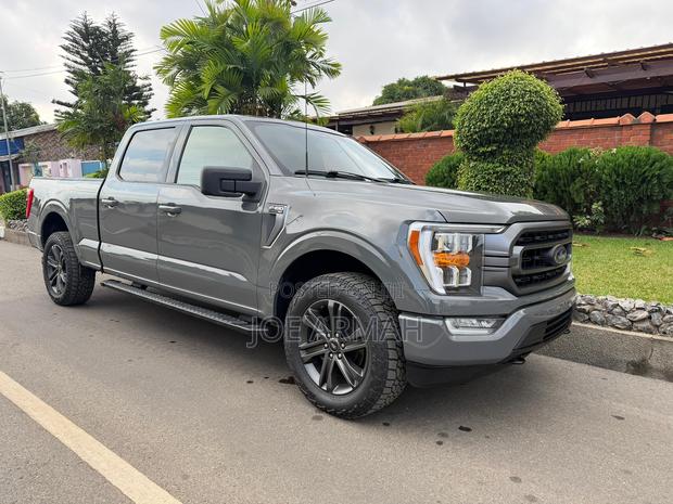 Ford F-150 2021 Gray