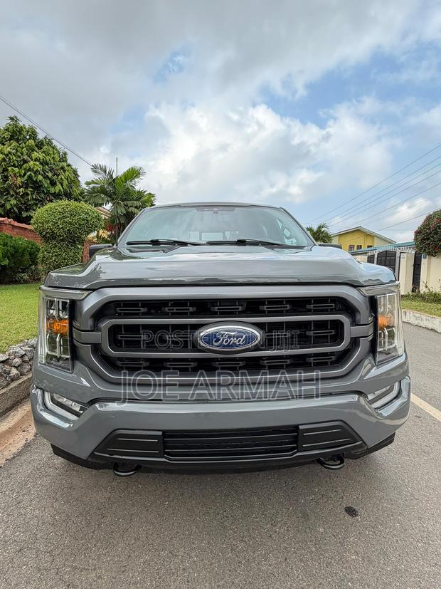 Ford F-150 2021 Gray