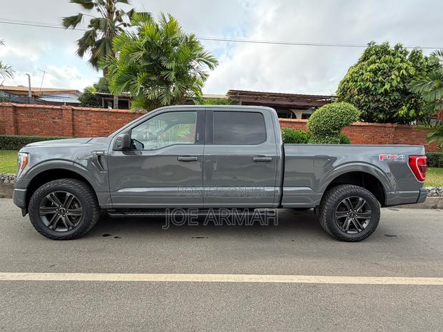Ford F-150 2021 Gray