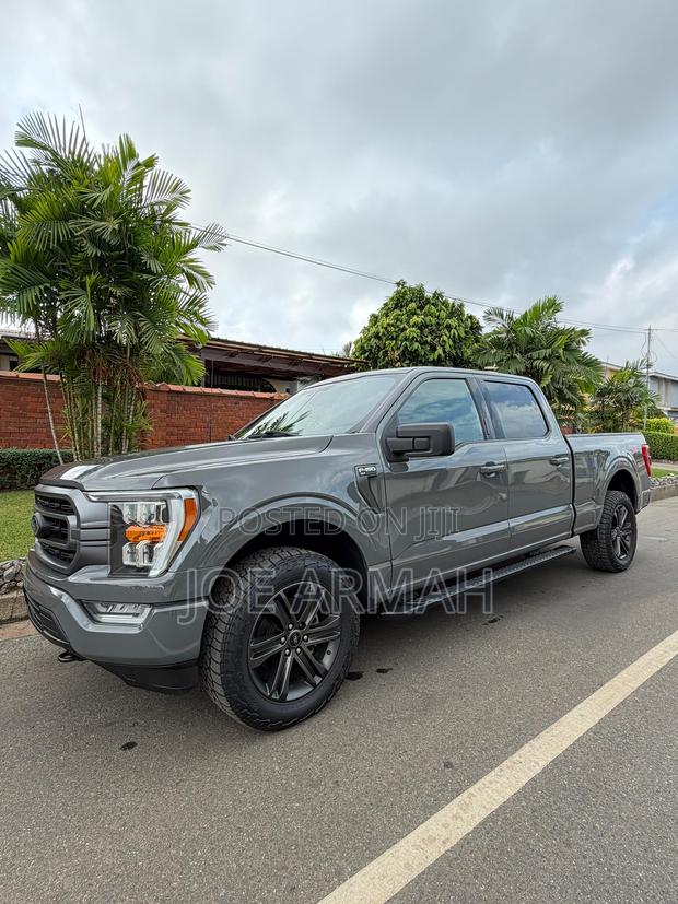 Ford F-150 2021 Gray