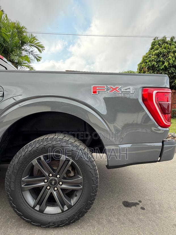 Ford F-150 2021 Gray