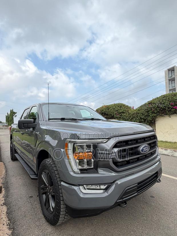 Ford F-150 2021 Gray