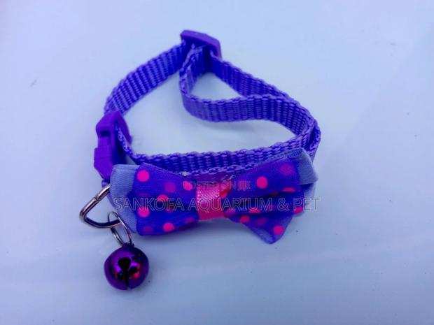 Dog Collar for Puppies · Photo 3