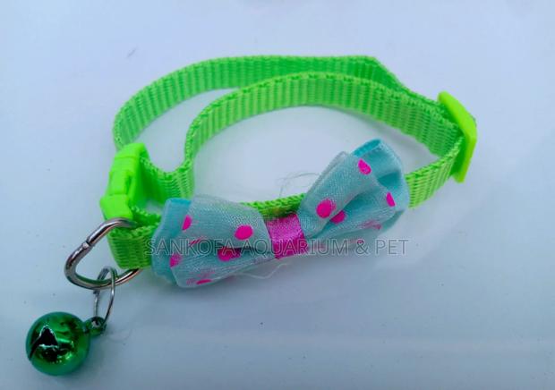 Dog Collar for Puppies · Photo 4