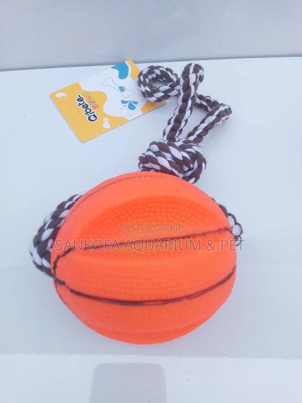 Quality Pet Play Toy · Photo 2