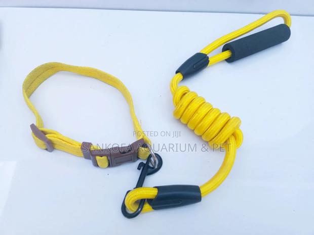 Pet Leash Chain With Collar · Photo 3
