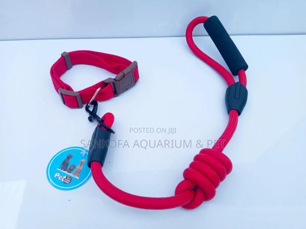 Pet Leash Chain With Collar · Photo 4