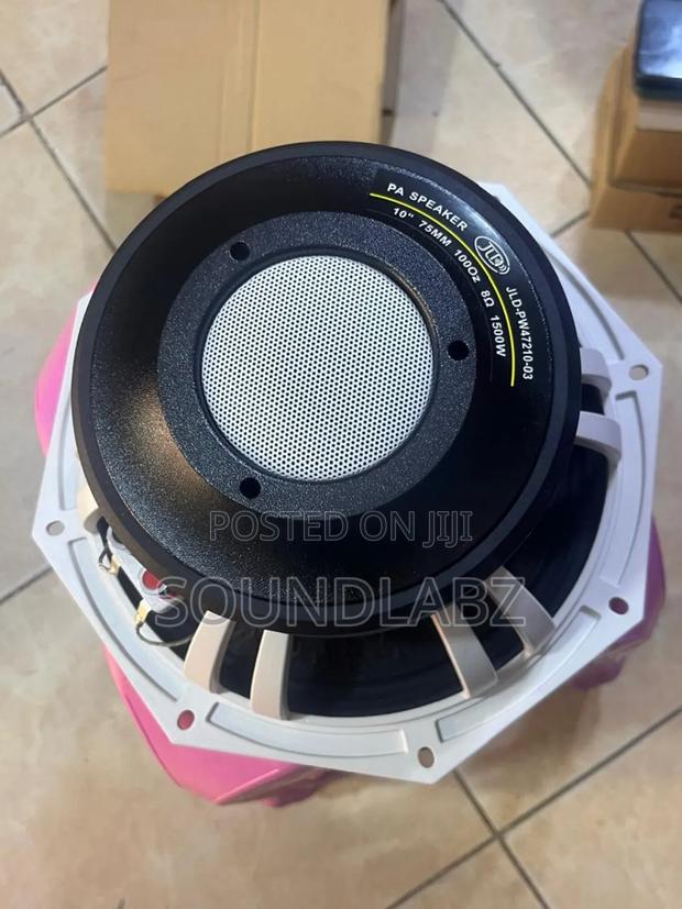 Jld 10-inch Double Magnet Pa Naked Speaker/Subwoofer. · Photo 4