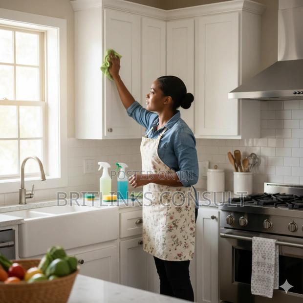 Household Helps Nanny's Available for Immediate Employment Now!