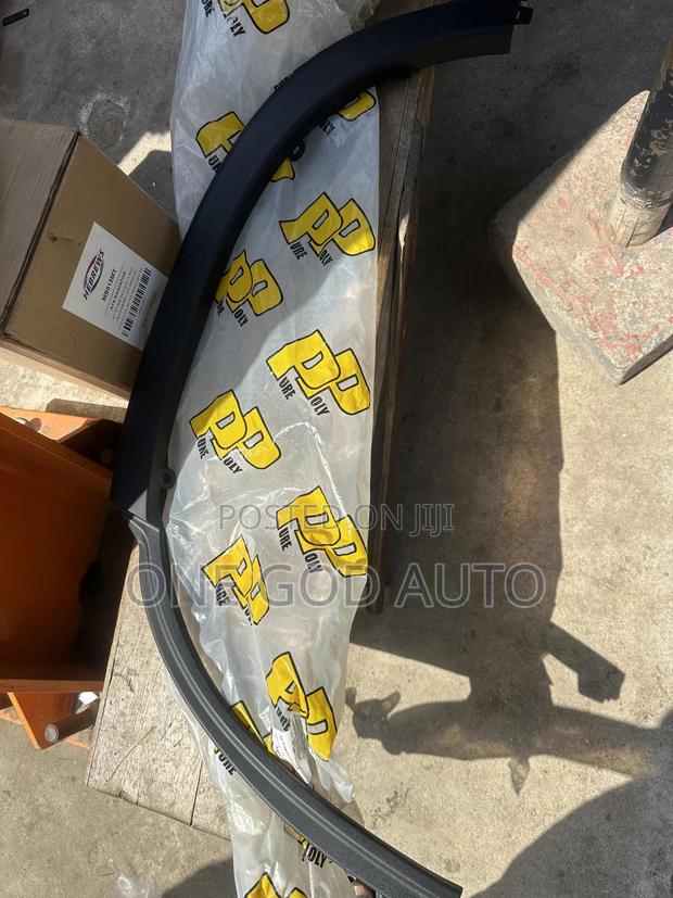 Honda Pilot 2023,2024,2025 Fender Moulding
