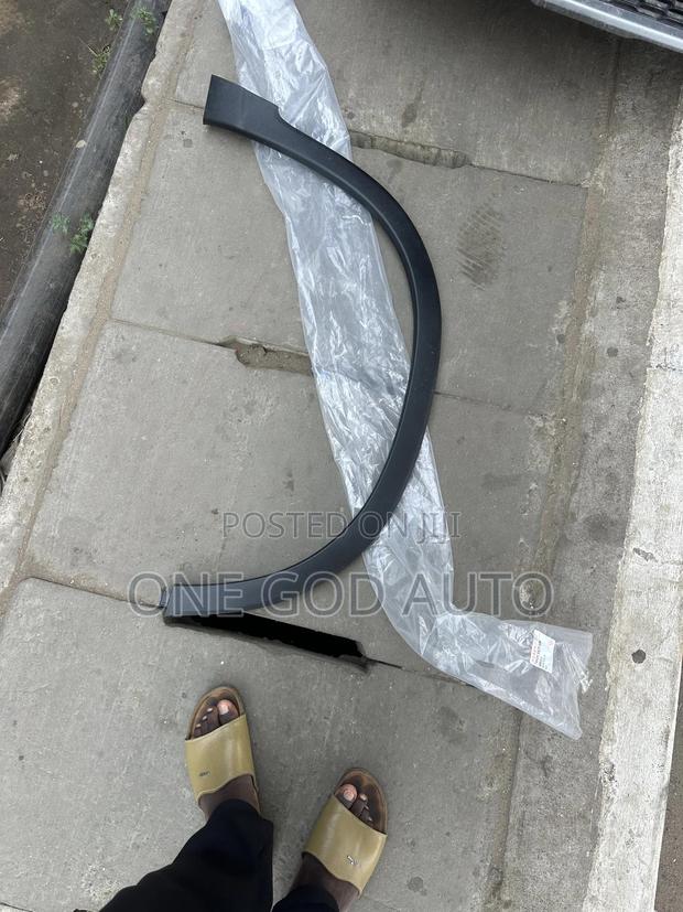 Honda Pilot 2023,2024,2025 Fender Moulding photo 2