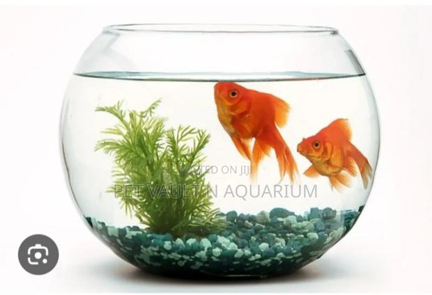 Glass Bowl Package · Photo 2