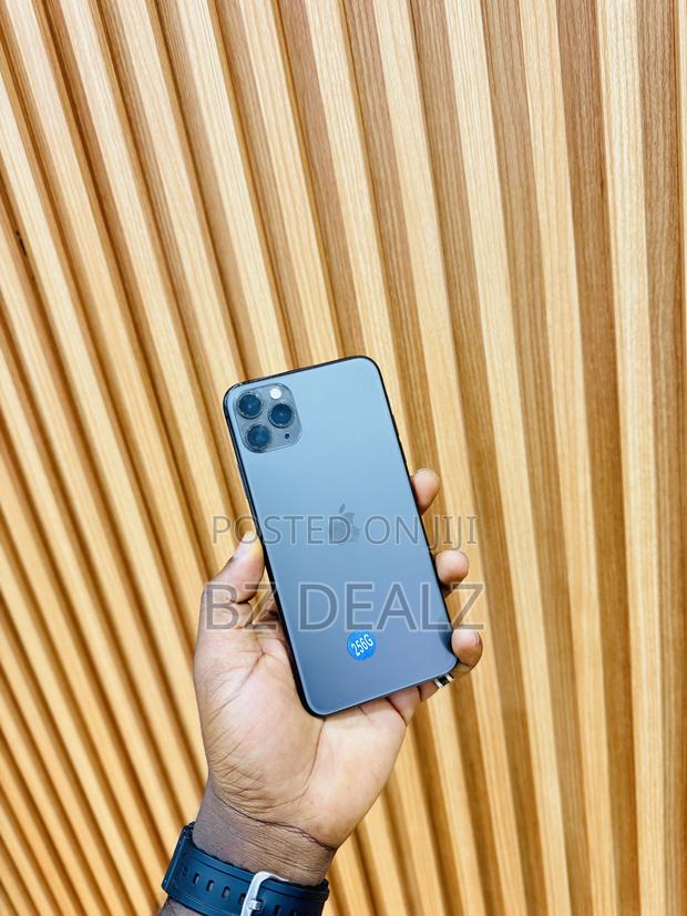 Apple iPhone 11 Pro Max 256 GB Black
