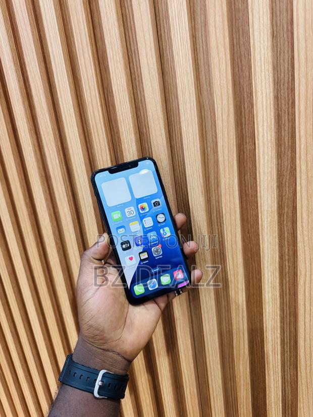 Apple iPhone 11 Pro Max 256 GB Black photo 6