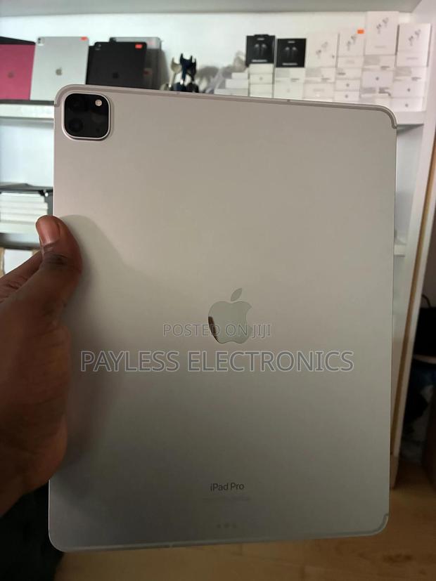 Apple iPad Pro (2022) 1 TB photo 2