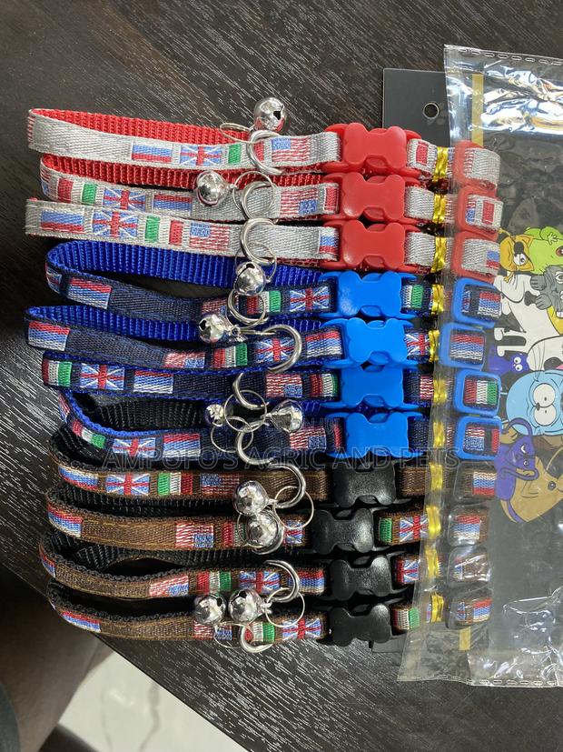 Dog Collar